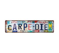 CARPE DIEM Plaque en métal vintage, panneau de rue, décoration d'intérieur, décoration murale, décoration de salle de bain, bar, café, garage, 40,6 x 10,2 cm