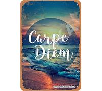 Carpe Diem Tin Vintage Look 20,3 x 30,5 cm Décoration Peinture Panneau pour la maison, la cuisine, la salle de bain, la ferme, le jardin, le garage Citations inspirantes Décoration murale