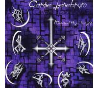 Carpe Tenebrum - Mirrored Hate Painting [Import]