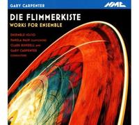 Die Flimmerkiste