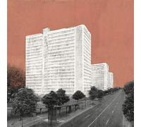 Carpet About Rooms And Elephants (Vinyl)