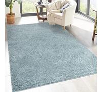 carpet city Shaggy Tapis de salon, à poils longs, motif uni, turquoise, 200 x 290 cm, doux et moelleux, moderne, convient également à la chambre à coucher