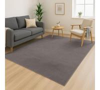 carpet city Tapis lavable à poils courts - 120 x 160 cm - Gris foncé - Doux et doux au toucher - Antidérapant et facile d'entretien - Pour salon, chambre à coucher et couloir