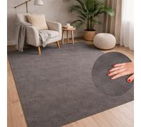 carpet city Tapis lavable uni à poils courts - 120x160 cm en gris foncé - Texture douce et Soft-Touch - Antidérapant et facile à entretenir - Tapis pour salon, chambre à coucher et couloir