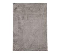 CarpetFine Tapis à Poils Longs Silky Shaggy Beige Rectangle 60x90 cm | Tappeto Moderno per soggiorno, Camera da letto e Camera Dei Bambini