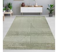CARPETIA Tapis de Salon Chambre à Coucher Coin Repas Coin Travail Entretien Facile Moderne Moelleux Effet de Hauteur Motif en Arc en Vert, 140 x 200 cm