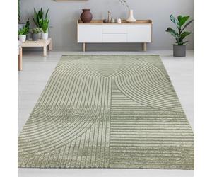 CARPETIA Tapis de Salon Chambre à Coucher Coin Repas Coin Travail Entretien Facile Moderne Moelleux Effet de Hauteur Motif en Arc en Vert, 140 x 200 cm