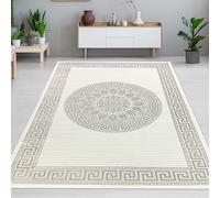 CARPETIA Tapis de Salon Chambre à Coucher Moderne élégant Orient Design à Poils Courts Brillant crème Gris 160x230 cm