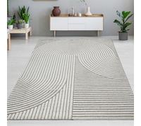 CARPETIA Tapis de salon, chambre d'hôtes, adapté au chauffage par le sol Easy-Care, design linéaire et arqué, gris, 240 x 340 cm