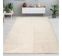 CARPETIA Tapis de Salon Tapis de Chambre à Coucher Chambre d'amis Bureau Durable Moderne Motifs de Lignes et d'arcs en Beige, 240 x 340 cm