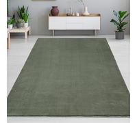 CARPETIA Tapis de Salon Vert - Le Confort avec Un Design uni Moelleux Taille 240 x 340 cm
