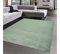 CARPETIA Tapis Salon Chambre Chambre d'amis antidérapant Doux avec Design Moderne uni en Vert 140 x 200 cm
