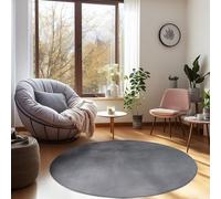 Carpetsale24 Salon Moderne Tapis Gris 160 cm Rond Poils Courts Monochrome Doux et Moelleux - Pour Chambre, Cuisine, Salle de Sejour
