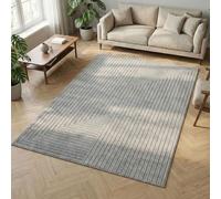 Carpetsale24 Tapis 200x290 cm Gris, Poils Courts Effet 3D Relief, Design Bohème Scandinave, pour Salon, Chambre, Cuisine ou Extérieur