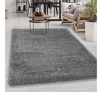 Carpetsale24 Tapis à Poils Longs, Couleur Gris Clair, Unicolor - Monochrome, 107606, Tapis Rectangle, Tapis Salon-Salle à Manger ou Chambre, 120 x 170 cm