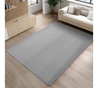 Carpetsale24 Tapis Argent 200x280 cm Tapis à Poils Courts Lavable, Antidérapant et Doux, Design Monochrome Moderne pour Salon, Chambre, Cuisine et Chambre d'enfant