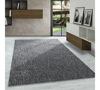 Carpetsale24 Tapis bouclé à Poils Courts, Tapis uni Gris chiné, Tissage Plat, Tapis de Salon, Cuisine ou Couloir, Dimensions : 60 x 100 cm