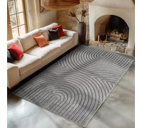 Carpetsale24 Tapis de Salon 160x230 cm Gris à Poils Longs Design Scandi Boho Effet Relief Shaggy Doux Moelleux Robuste Facile à Nettoyer Moderne pour Table Basse