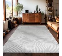 Carpetsale24 - Tapis de salon à poils courts 160 x 230 cm Style bohème scandinave Uni argenté Effet 3D Extra doux et lavable Décoratif pour chambre à coucher, salle à manger