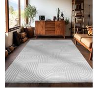 Carpetsale24 - Tapis de salon à poils courts 200 x 290 cm Style bohème scandinave Uni argenté Effet 3D Extra doux et lavable Décoratif pour chambre à coucher, salle à manger