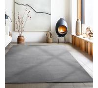 Carpetsale24 Tapis de salon, design moderne, gris 140x200 cm, antidérapant, à poils courts, doux et moelleux, lavable