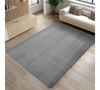 Carpetsale24 Tapis Gris 200x280 cm Tapis à Poils Courts Lavable, Antidérapant et Doux, Design Monochrome Moderne pour Salon, Chambre, Cuisine et Chambre d'enfant