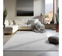 Carpetsale24 Tapis Lavable à Poils Courts 140x200 cm Argent Moderne