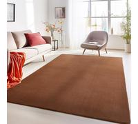 Carpetsale24 Tapis lavable à poils courts, 60 x 110 cm, marron, moderne, couleur unie, doux, antidérapant, facile d'entretien, lavable en machine, pour couloir, entrée, chambre à coucher, cuisine