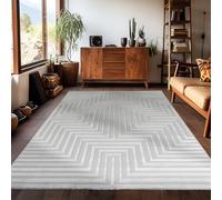 Carpetsale24 Tapis Moderne Salon et Chambre Argent 120 x 170 cm Poils Courts, Effet 3D Style Scandinave, Conception Géométrique Doux et Moelleux