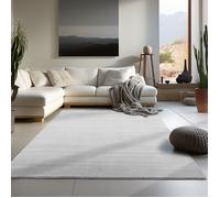 Carpetsale24 Tapis salon 140x200 cm Argent Uni moderne et moelleux à poil court, avec sous-couche antidérapante, lavable