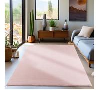 Carpetsale24 Tapis Moderne Salon Chambre Rose 140x200 cm Poils courts, uni Doux et moelleux