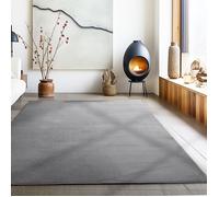 Carpetsale24 Tapis salon 160x200 cm Gris Uni moderne et moelleux à poil court, avec sous-couche antidérapante, lavable