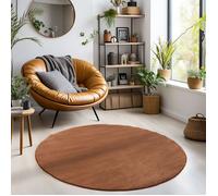 Carpetsale24 Tapis salon 200 cm Rond Marron Uni moderne et moelleux à poil court, avec sous-couche antidérapante, lavable