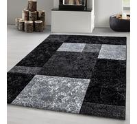 Carpetsale24 tapis Salon Moderne et Cuisine Moquette Douce et Moelleuse - Noir 300x400 (280 x 370 cm)