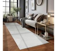 Carpetsale24 Tapis Salon Moderne Tapis Chambre Argent-5 80 x 250 cm - Tapis à Poils Courts, Effet 3D style Scandinave, Motif bohème scandinave Doux et Moelleux - Tapis Cuisine Moquette Salle de Sejour