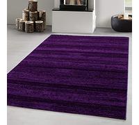 Carpetsale24 Tapis Salon Moderne Tapis Chambre Lilas-1 240 x 340 cm - Tapis à Poils Courts, a Poil Ras, Unicolor - Monochrome Doux et Moelleux - Tapis Cuisine Moquette Salle de Sejour