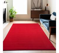 Carpetsale24 tapis Salon Moderne Unicolor Doux et Moelleux 140 x 200 cm - Tapis Cuisine Moquette Salle de Sejour