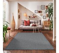 Carpettex Tapis à Poil Court uni pour Le Salon, Super Doux, Disponible en différentes Couleurs et Tailles., Couleur: Gris, Taille: 200 x 290 cm