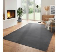 Carpettex Tapis Moelleux Moderne à Poil Court, uni, avec Une Face inférieure antidérapante Lavable et Doux, Couleur: Gris, Taille: 200 x 290 cm
