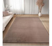 Carpettex Tapis Runner Brun 60x100 cm Lavable Tapis à Poils Courts Antidérapant et Doux pour Chambre Cuisine et Couloir