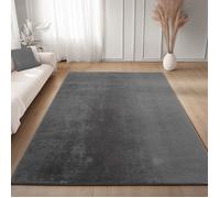 Carpettex Tapis Runner Gris 60x100 cm Lavable Tapis à Poils Courts, Antidérapant et Doux, pour Chambre, Cuisine et Couloir