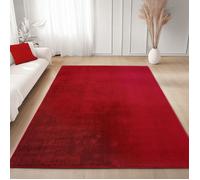 Carpettex Tapis Runner Rouge 60x100 cm Lavable Tapis à Poils Courts Antidérapant et Doux pour Chambre Cuisine et Couloir