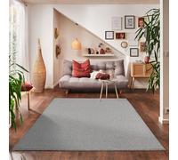 Carpettex Teppich Tapis à Poil Court uni pour Le Salon, Super Doux, Disponible en différentes Couleurs et Tailles., Couleur: Gris Clair, Taille: 140 x 200 cm