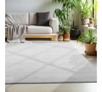 Carpettex Teppich Tapis de salon, antidérapant, lavable en machine, 240 x 340 cm, couleur argentée - Tapis moderne à poils courts et moelleux, extra doux, pour chambre à coucher, cuisine, couloir