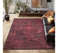 Carpettex Teppich Tapis Lavable en Tissu Plat Robuste avec Design Oriental, Aspect Vintage, antidérapant pour Le Salon, Couleur: Rouge, Taille: 200 x 290 cm