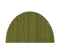 Carpido Tapis de Coco Semi-Circulaire - Paillasson antibactérien - pour l'extérieur Couvert - Fibres Naturelles durables - 100% Coco - 50x100 cm Vert