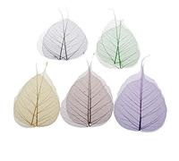 CarpNettore 10 Pièces Fleurs Pressées Naturelles Feuilles Squelettes Accessoires Décoration Créations Artistiques Résine Adaptés à La Fabrication de Cartes Bijoux, Feuille de Bodhi, comme décrit
