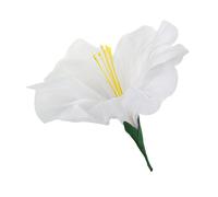 CarpNettore Lot de 10 pompons de remise de diplôme avec cadeaux de fête académique 2025 pour l'école