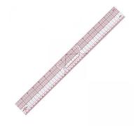 CarpNettore Règle de Gradation 2x, Règle de Tailleur avec échelle Transparente B95, Règle de Couture Métrique et Impériale, Règle pour La Confection de Patrons et, 4 pièces