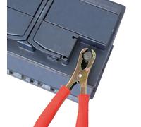 Carpoint Pinces pour batterie 120 A – 2 pièces